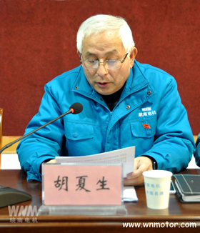 皖南電機(jī)監(jiān)事會主席胡夏生作監(jiān)事會工作報(bào)告_副本